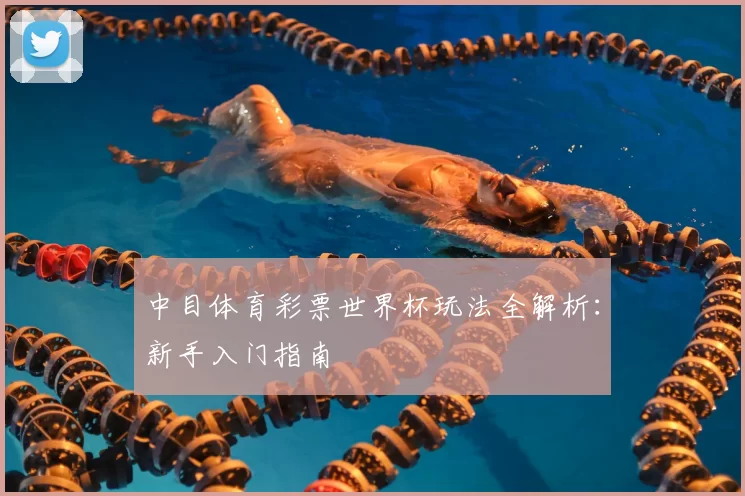中目体育彩票世界杯玩法全解析：新手入门指南