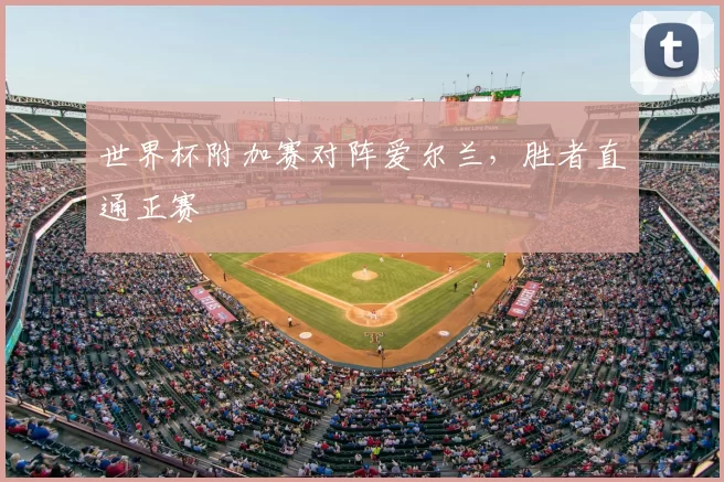 世界杯附加赛对阵爱尔兰,胜者直通正赛