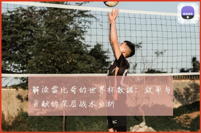 解读雷比奇的世界杯数据：效率与贡献的深层战术分析