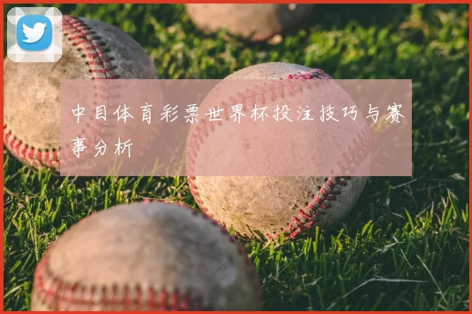 中目体育彩票世界杯投注技巧与赛事分析