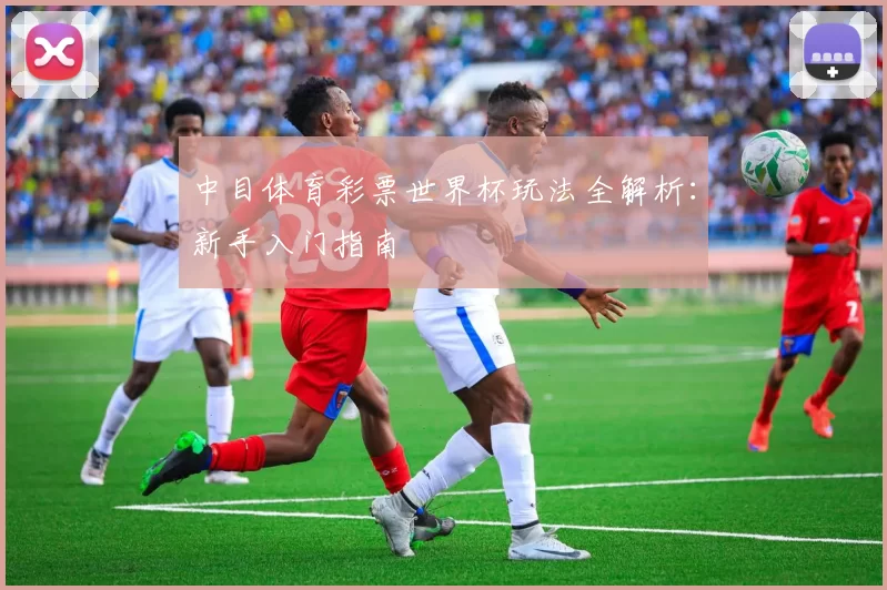 中目体育彩票世界杯玩法全解析：新手入门指南
