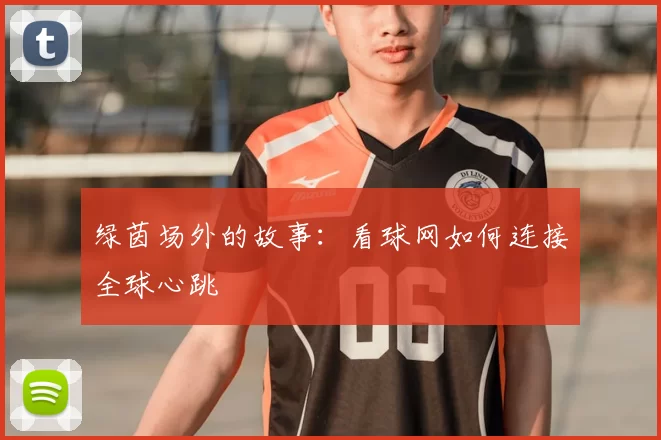 绿茵场外的故事：看球网如何连接全球心跳