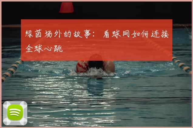 绿茵场外的故事:看球网如何连接全球心跳