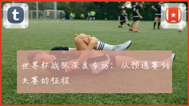 世界杯战队深度专访：从预选赛到决赛的征程