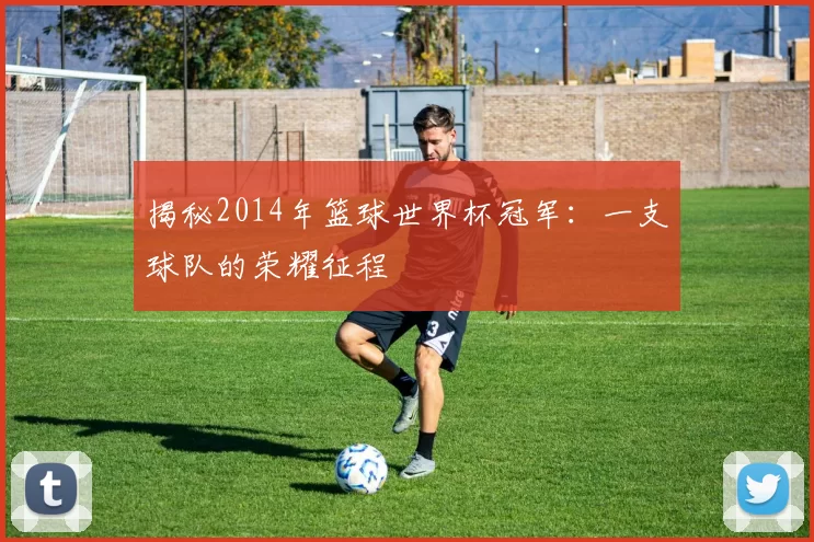 揭秘2014年篮球世界杯冠军：一支球队的荣耀征程
