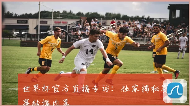 世界杯官方直播专访:独家揭秘赛事转播内幕
