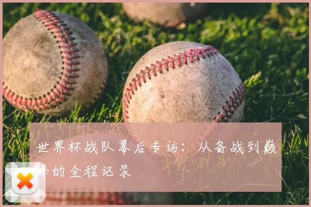 世界杯战队幕后专访：从备战到巅峰的全程记录